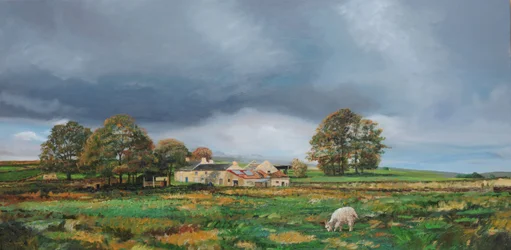 Alter Bauernhof, Monyash, Derbyshire, 2009